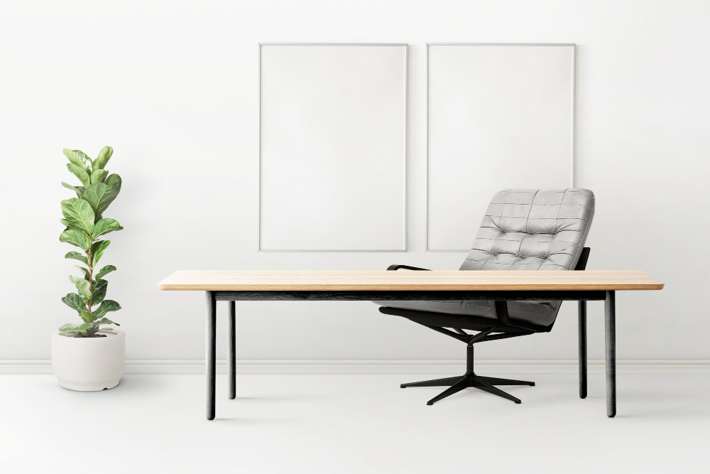 Luxury Furniture